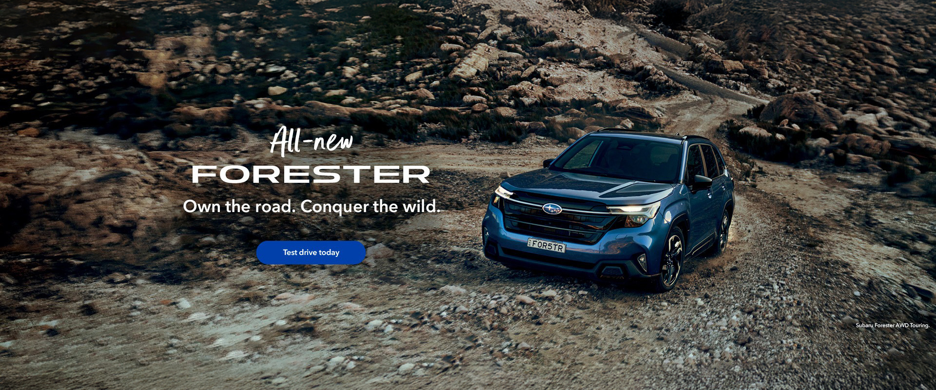 Subaru Outback Forester