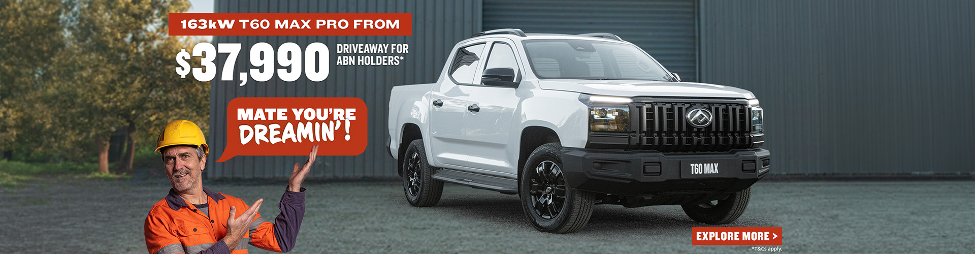 LDV Offer