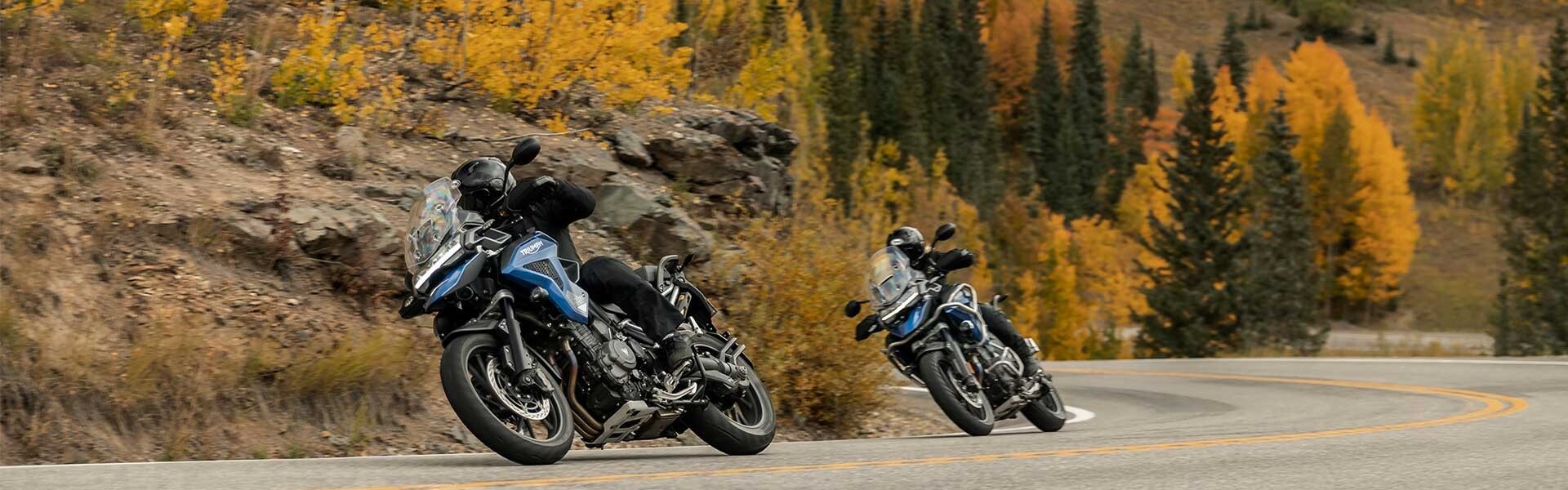 2024 Triumph Tiger 1200 GT Pro