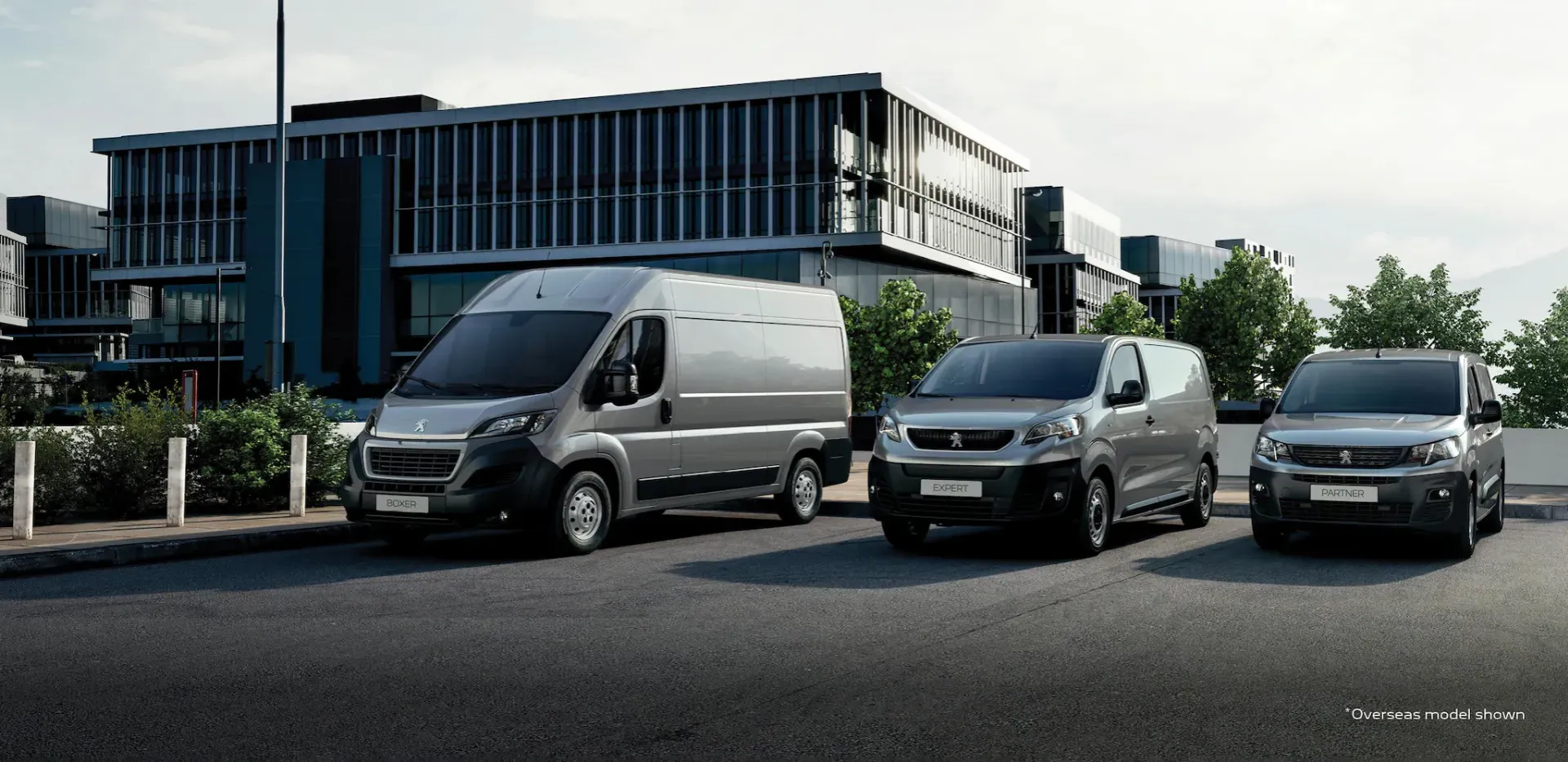 PEUGEOT Professional