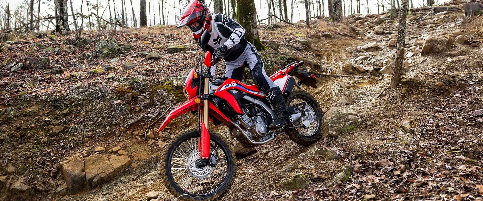 CRF300L