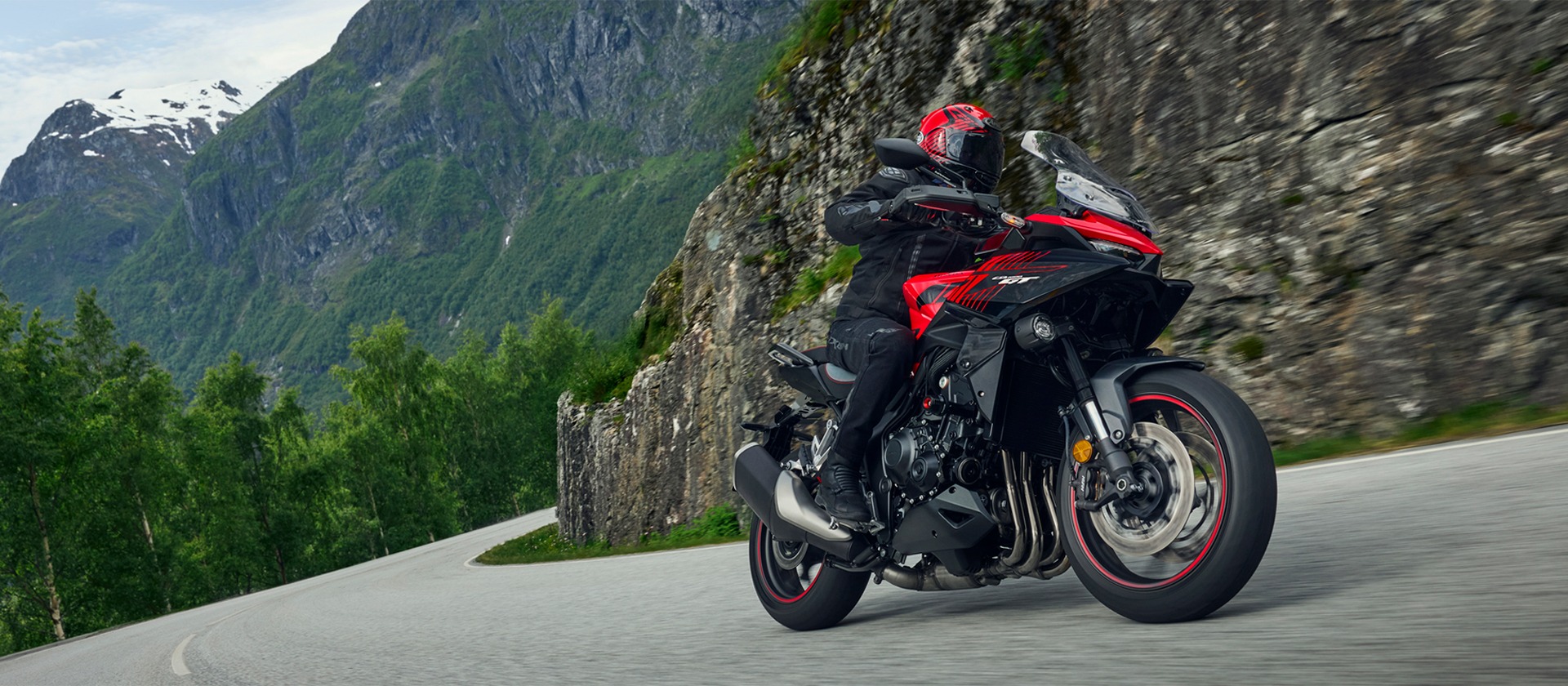 Two Wheeled Brand 2025