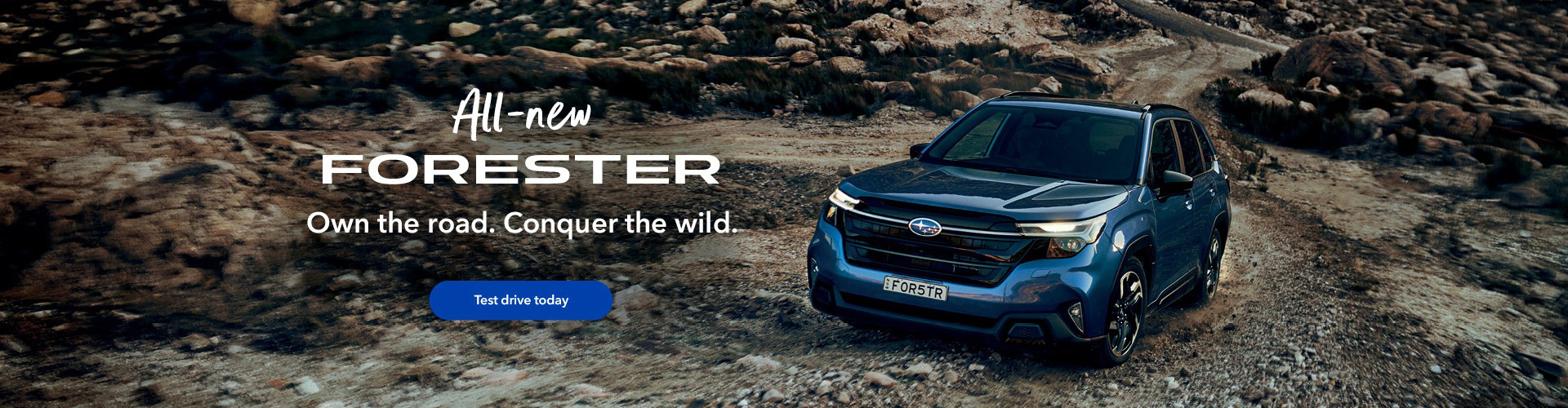 Subaru Outback Forester