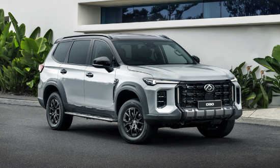 Two LDV D90s