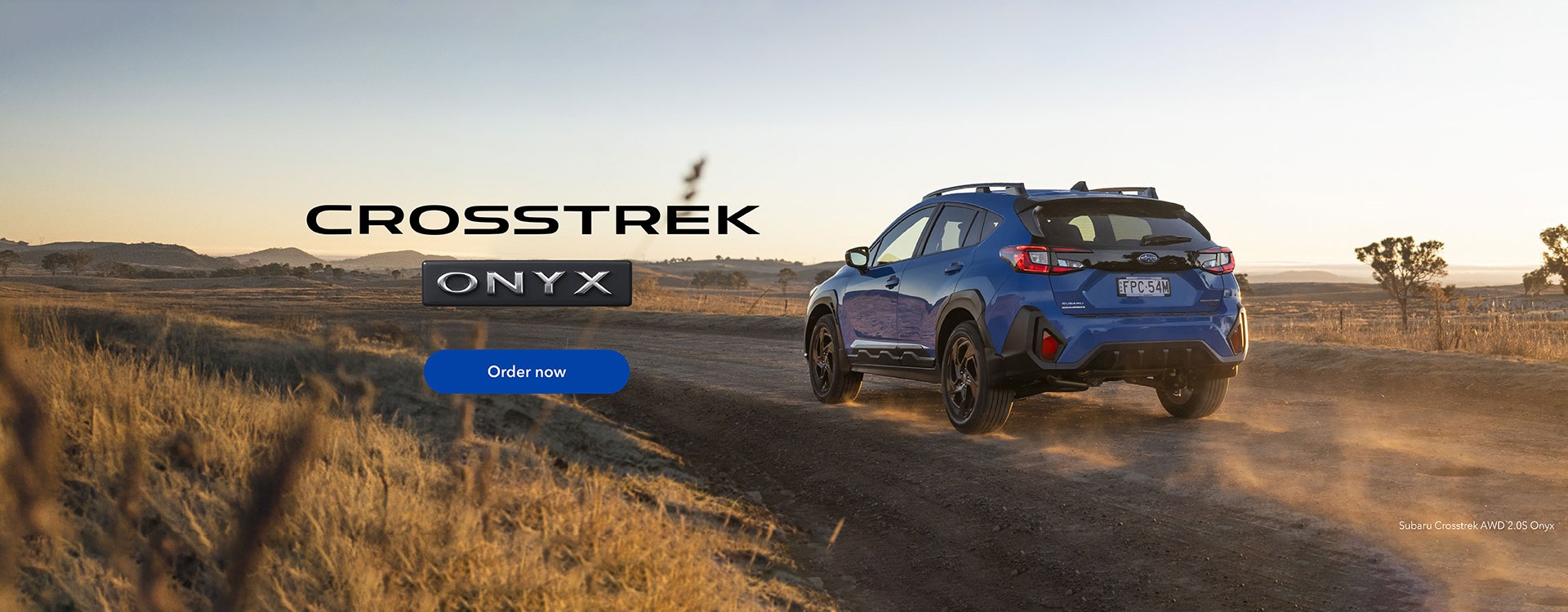 Dark, daring, and ready to roam.