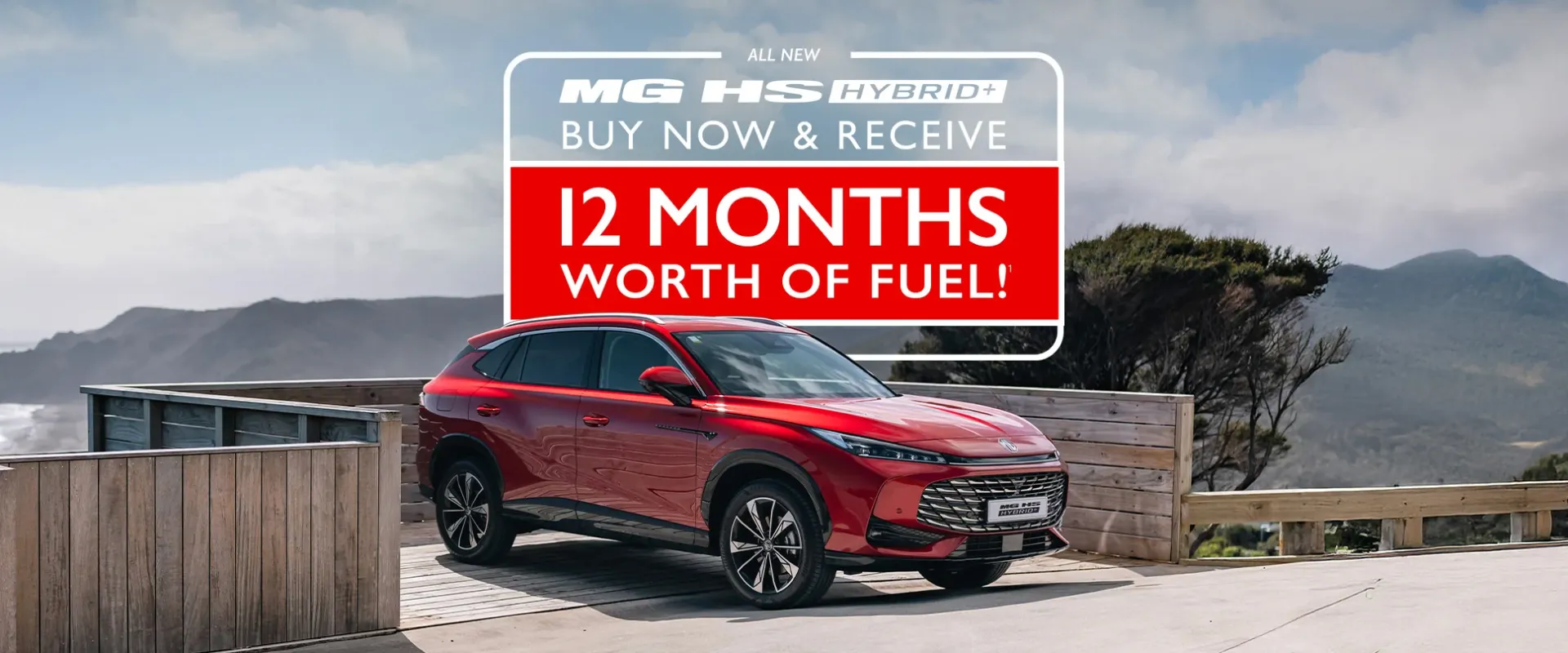 HS Hybrid 12month Offer