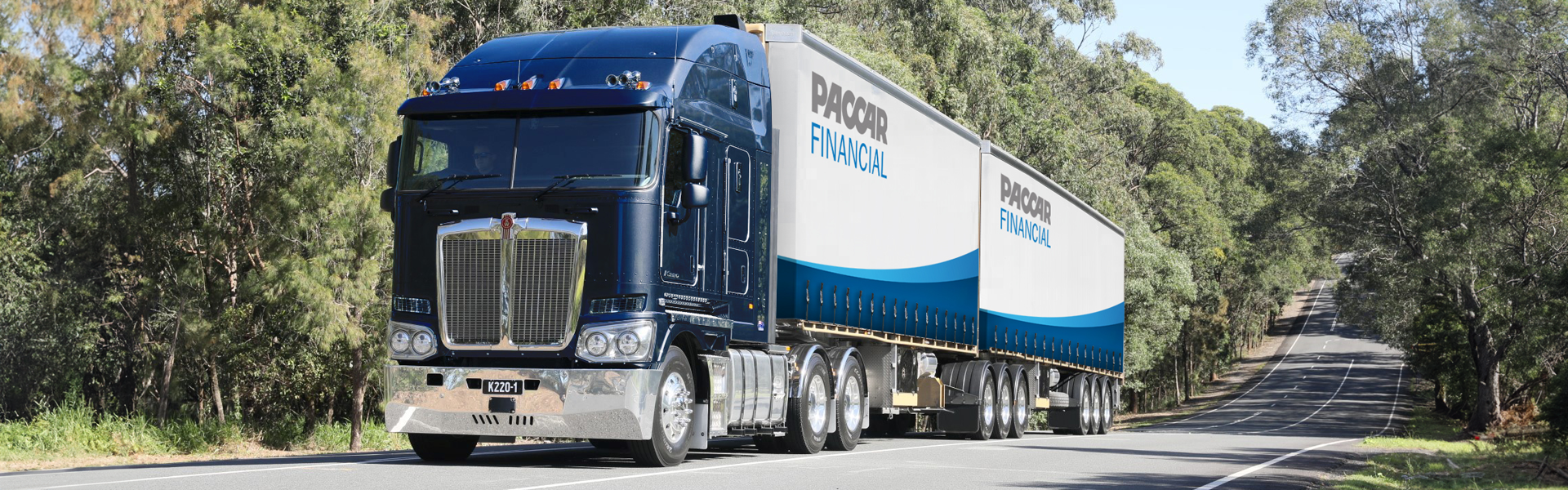 K220-Grey-PACFIN.png