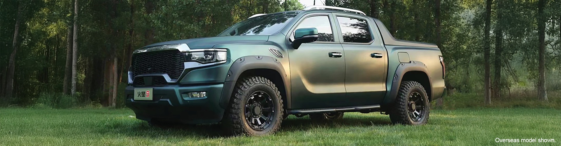 Green FOTON Tunland on grass