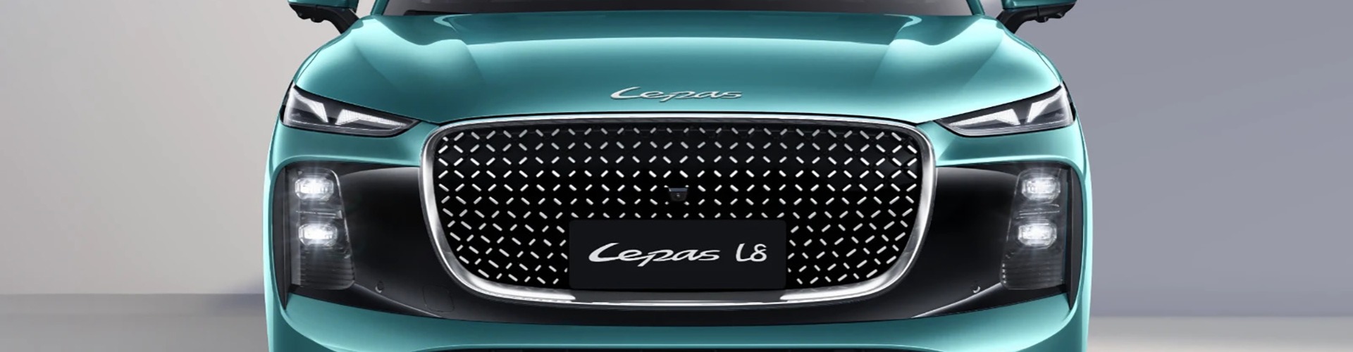Front end of a Green Lepas L8