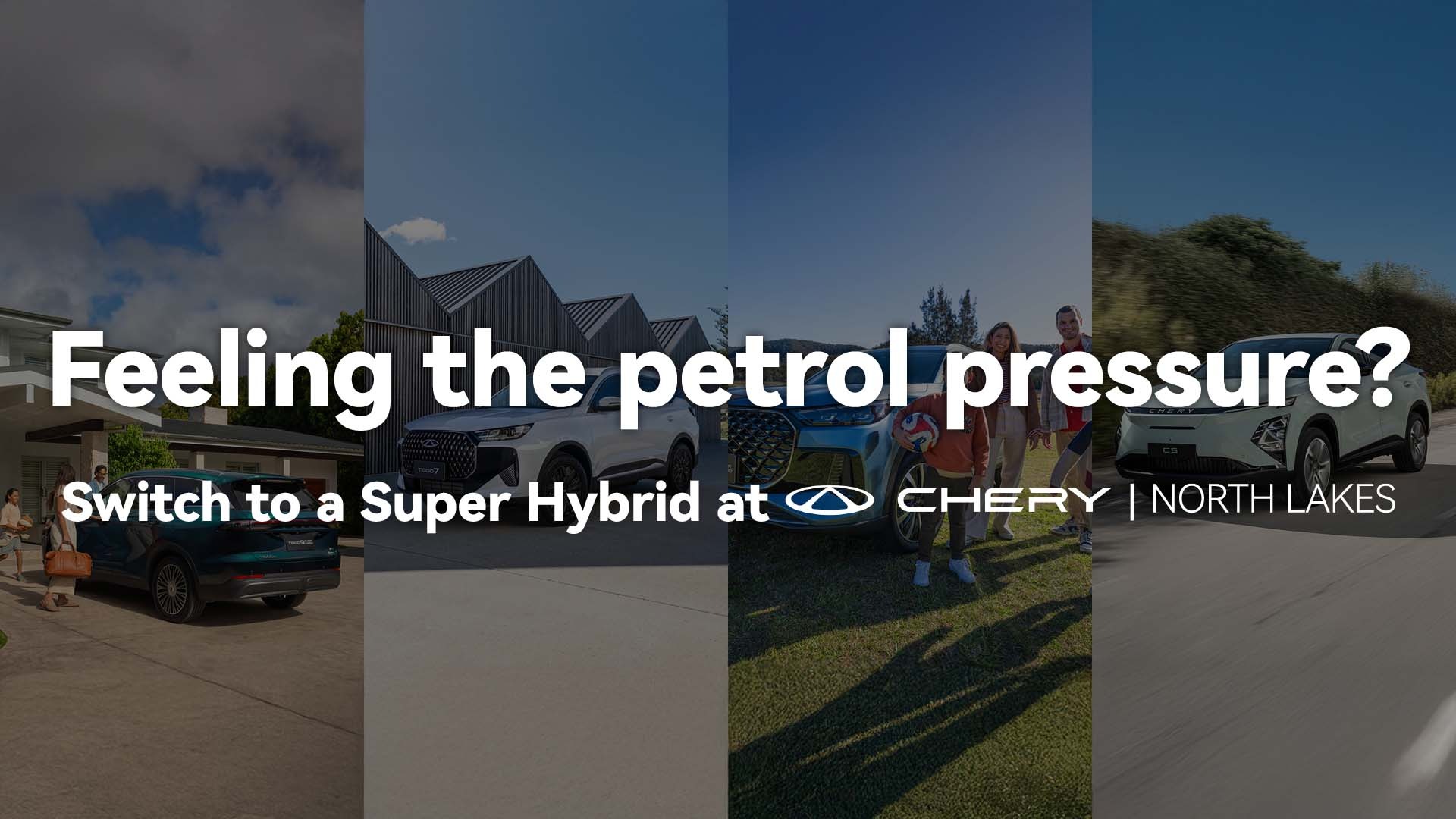 Petrol Switch to Hybrid