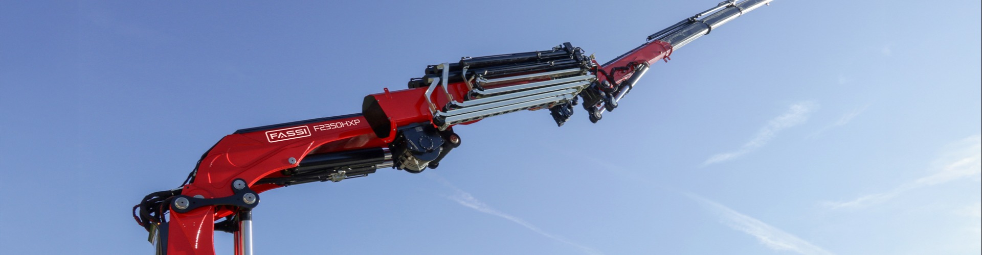 fassi.jpg
