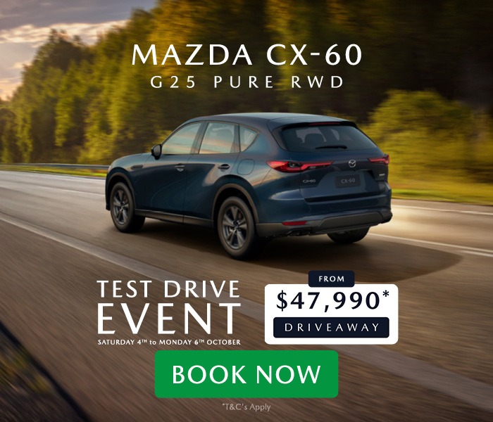 Extended Summer Plate Clearance Sale