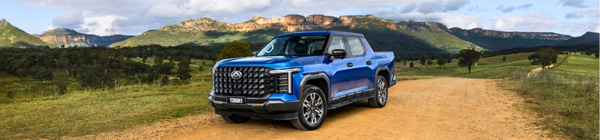 LDV Terron 9 Evolve 