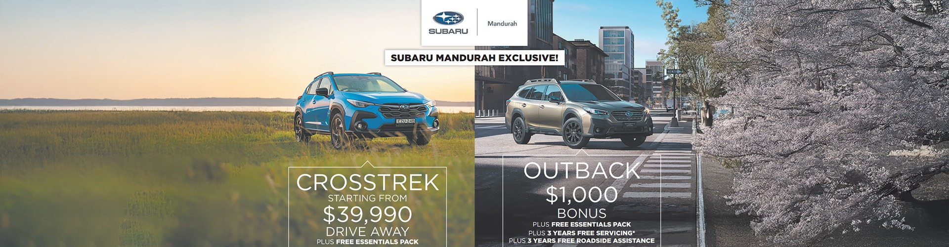 CrossTrek & Outback 