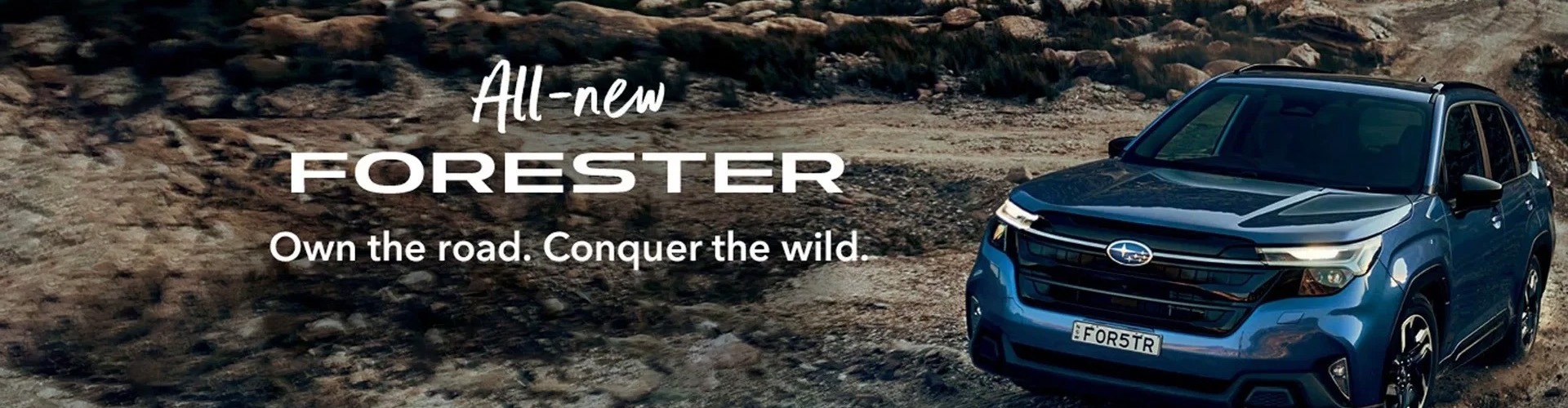 Subaru - Banner