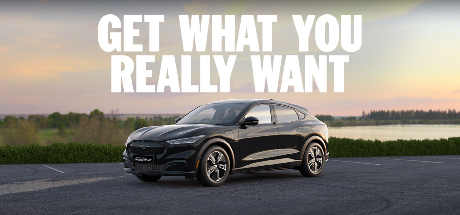 Mustang.png
