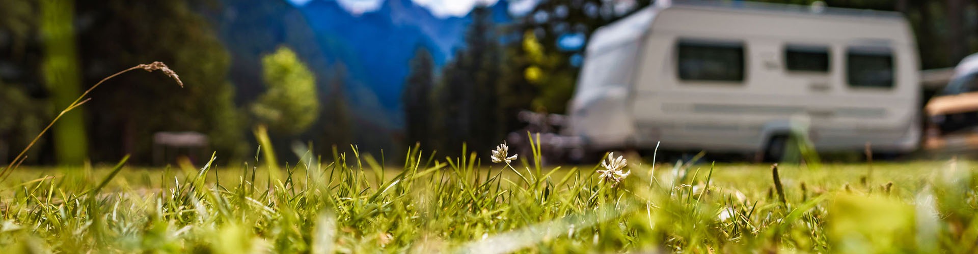 213342_caravan-generic-banner-mar22-yp.jpg