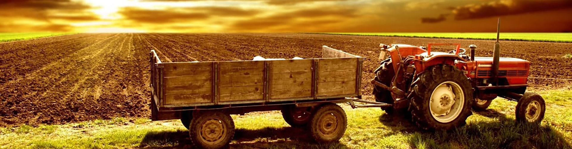 211969_stan-cork-machinery-inter.jpg