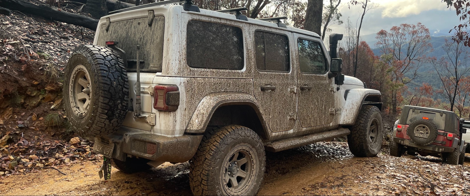 Auto Maven Banner