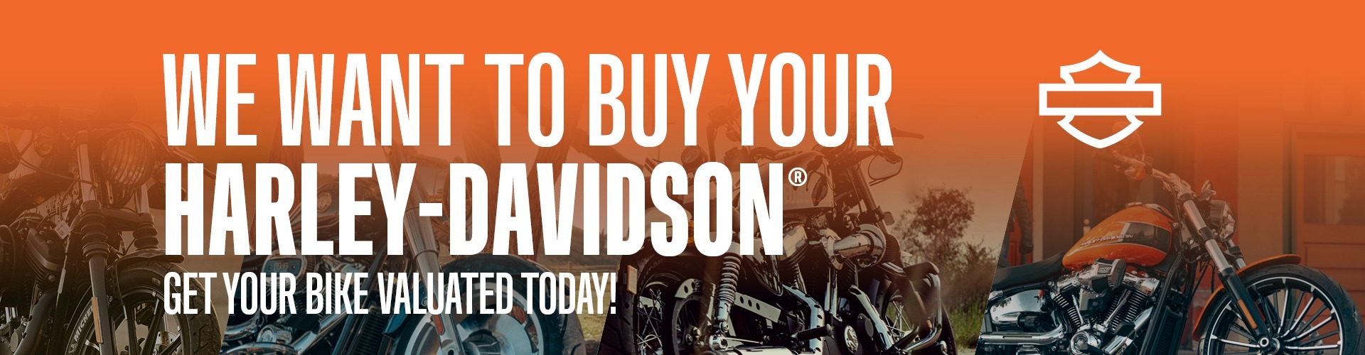 Buy Your Harley