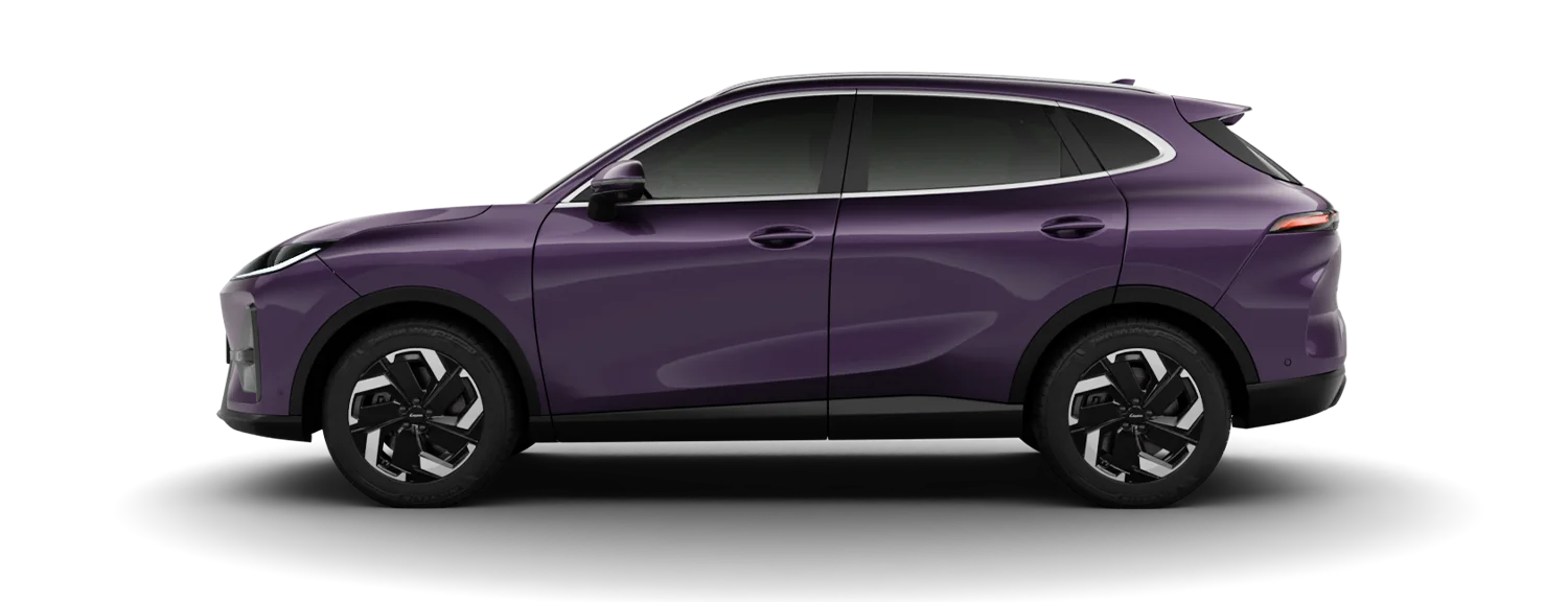 Purple Lepas L6