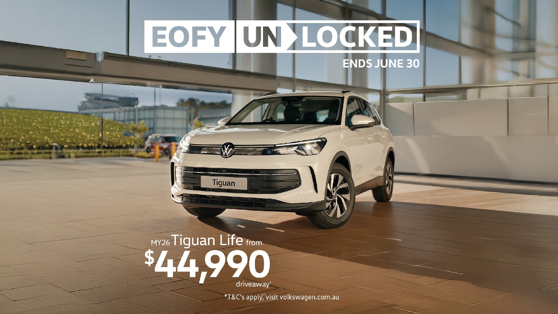 VWStock6.jpg
