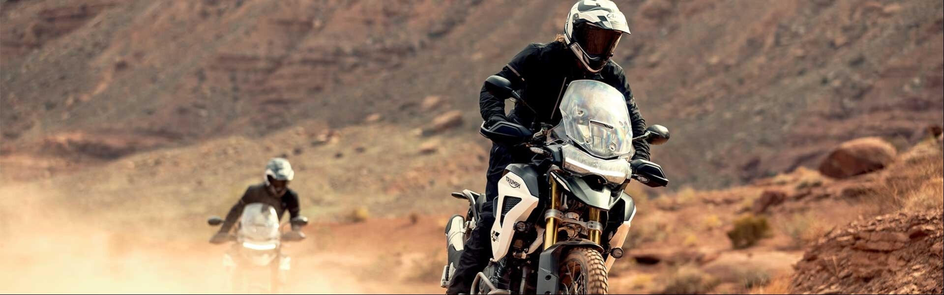 2024 Triumph Tiger 1200 Rally Pro
