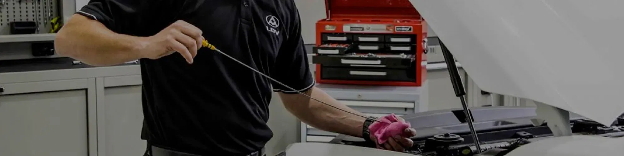 LDV Service - Adelaide