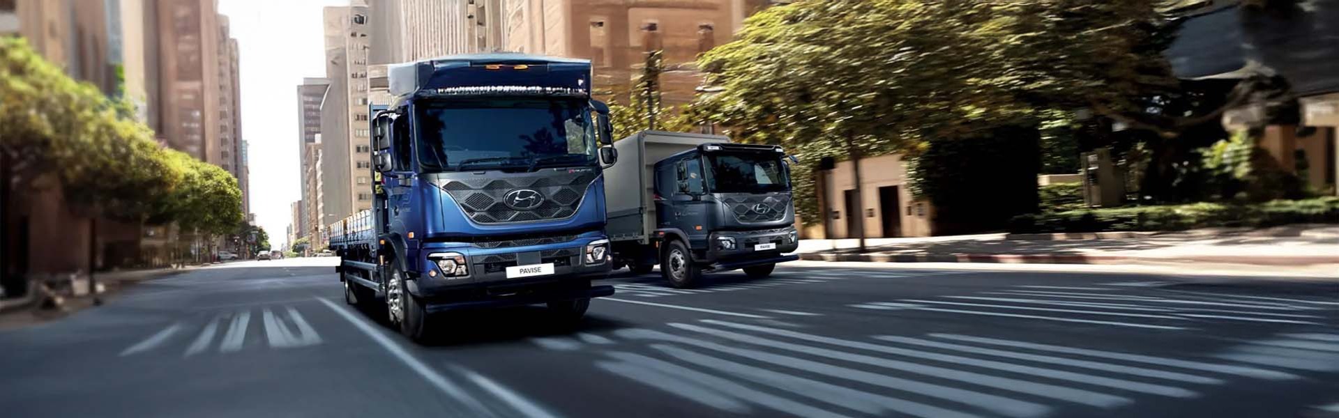 pavisebanner_hyundai.jpg