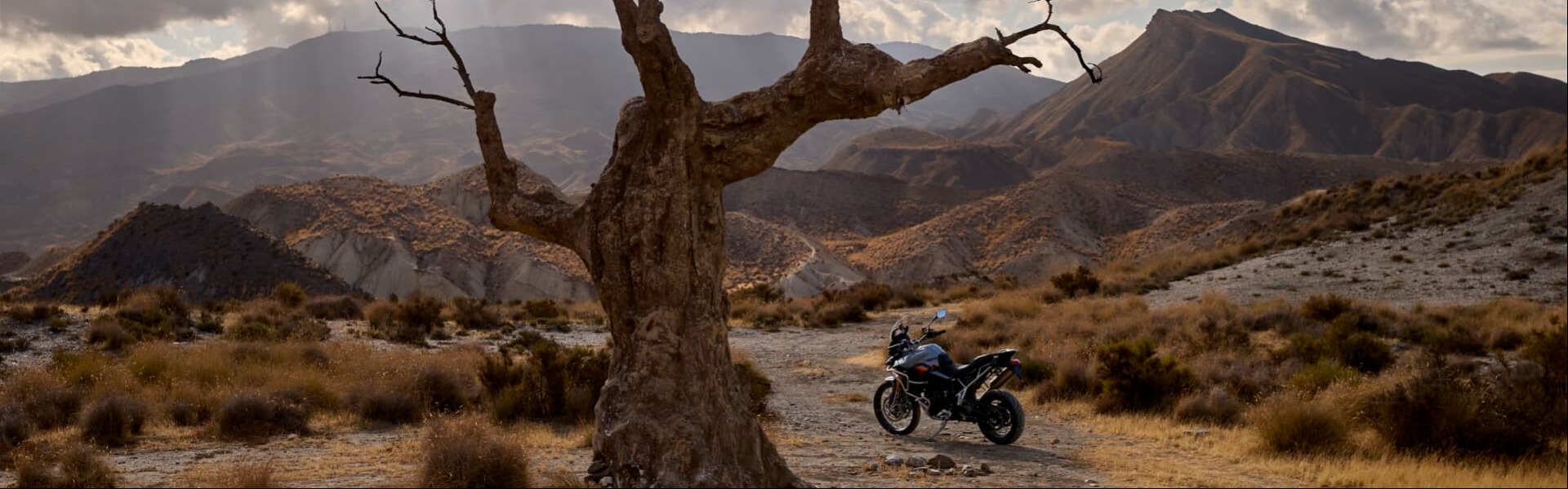 Triumph Tiger 900 Desert Edition
