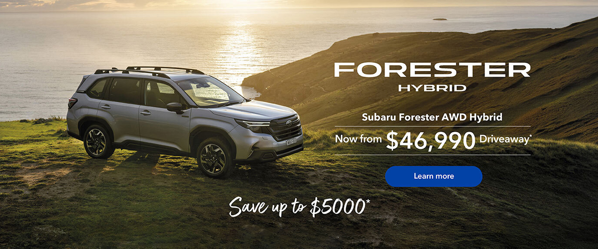 Subaru Outback Forester