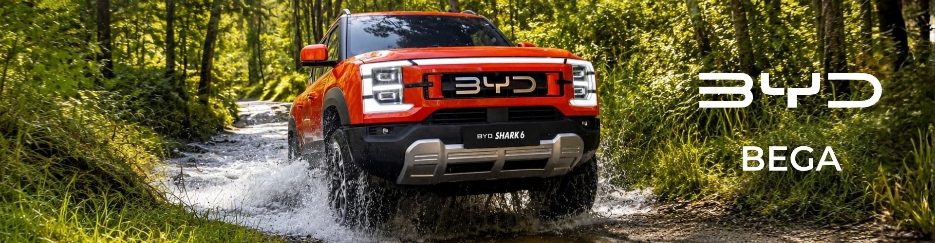 BYD