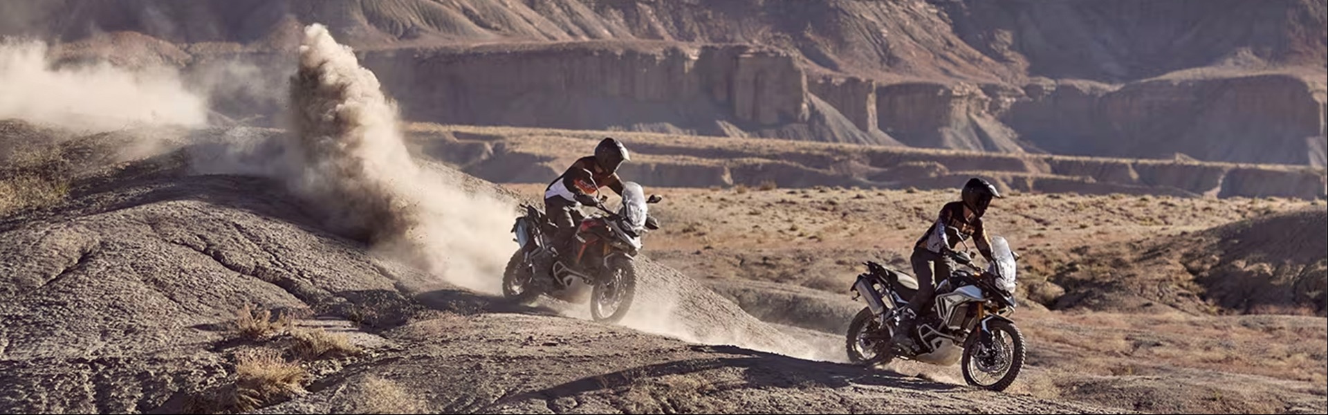 2024 Triumph Tiger 900 GT