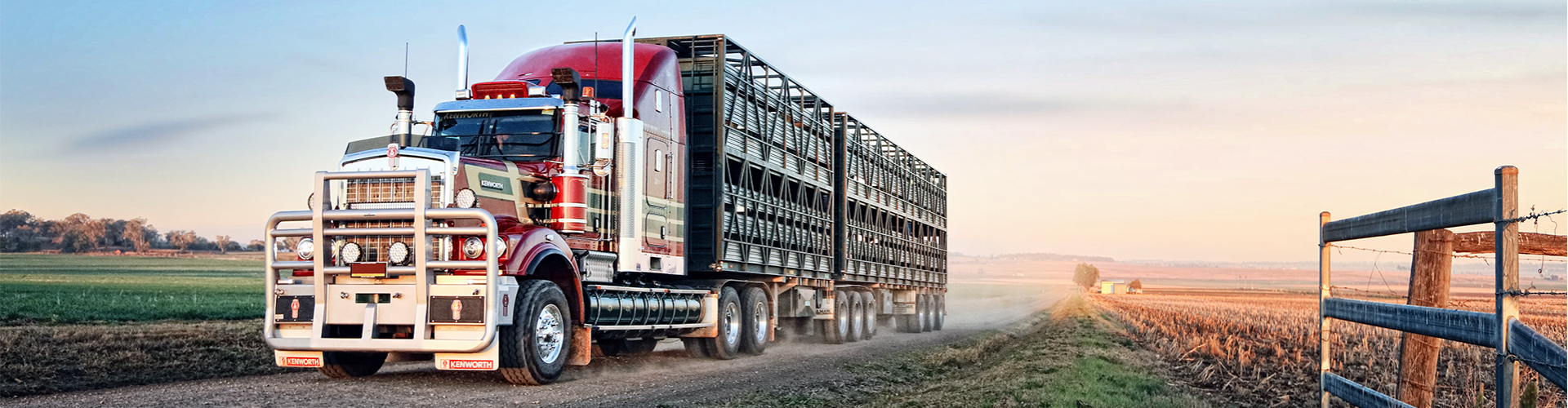 KW-C509.png