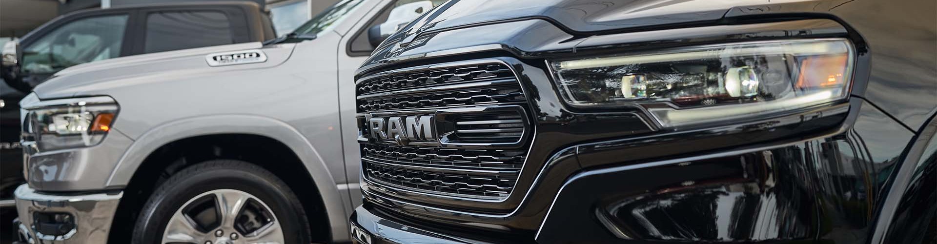 Silver and Black Ram