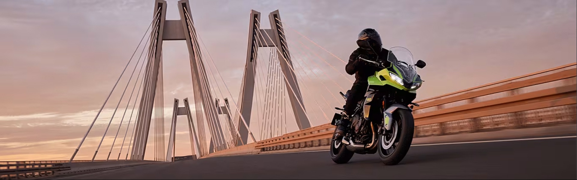 TriumphTiger Sport 660 LAMS