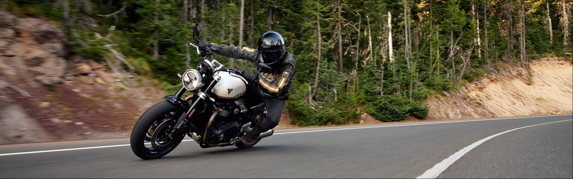 2025 Triumph Speed Twin 1200