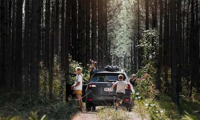 Search Used cars Australia