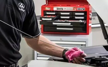 LDV Service