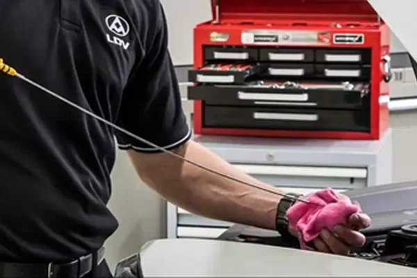 LDV Service