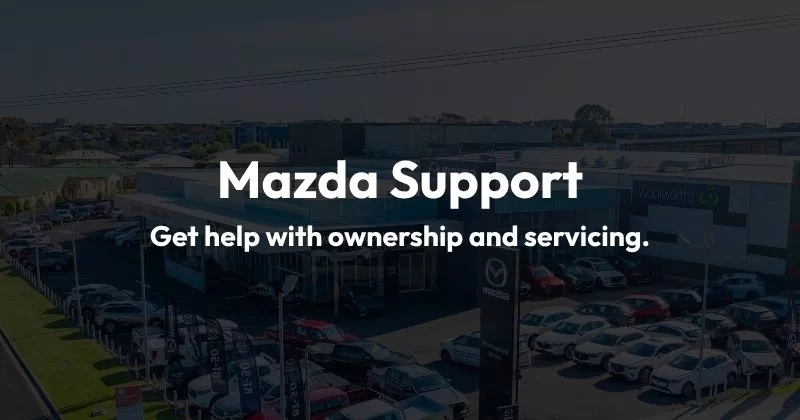 support.jpg