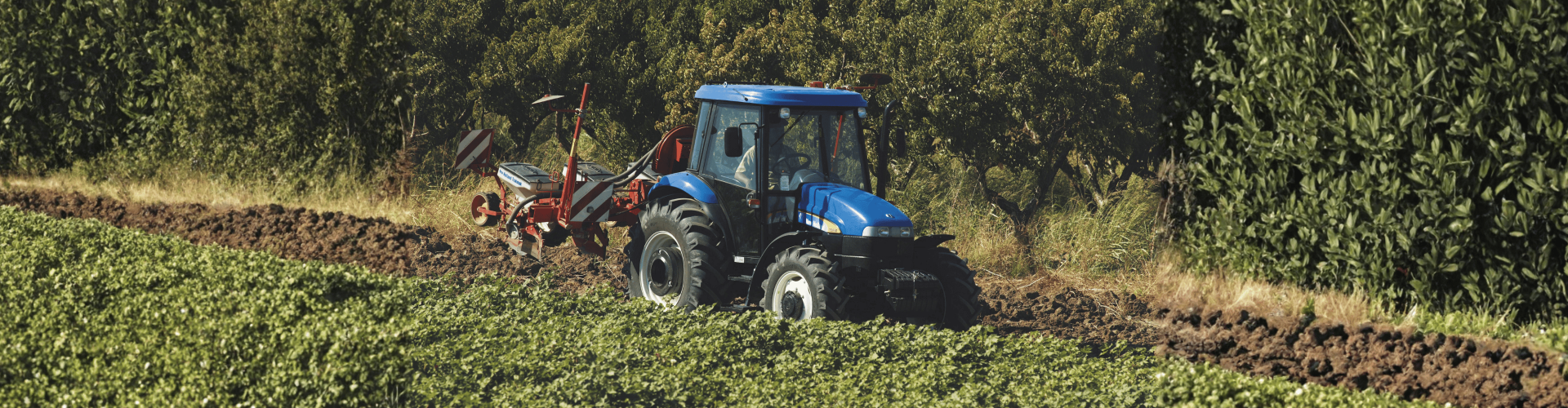 New Holland - TDD