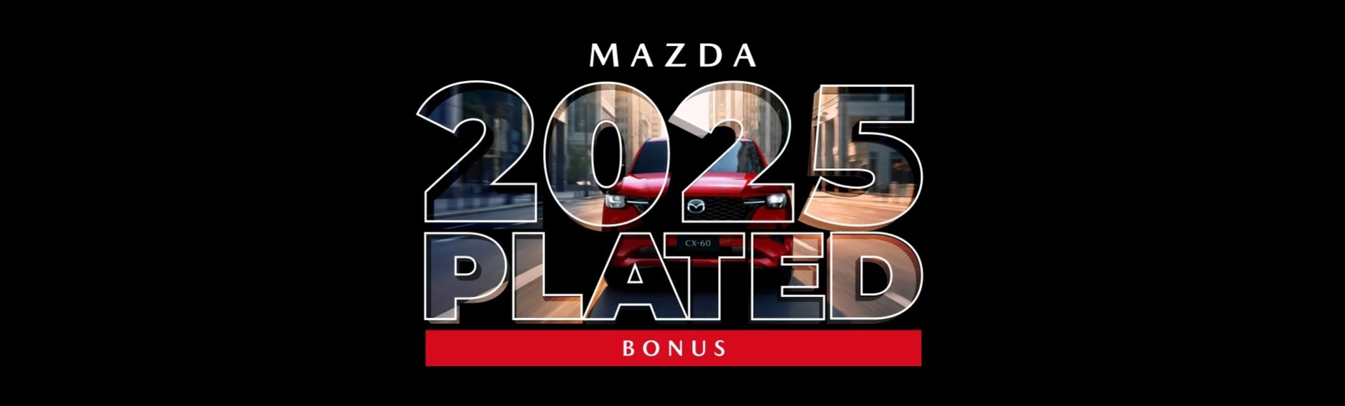 2025 Plate Clearance Offer