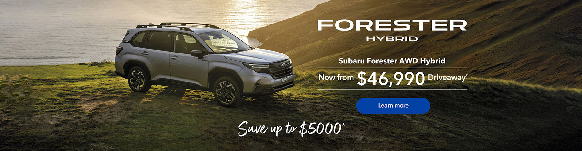 Subaru Outback Forester