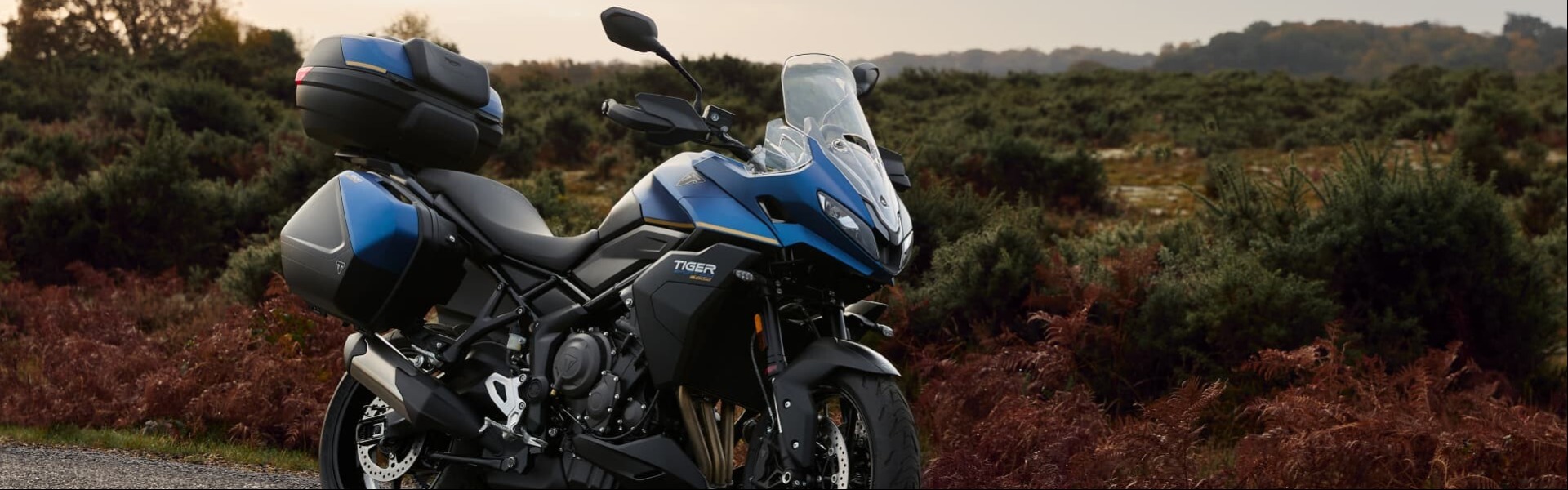 Triumph Tiger Sport 800 Tour