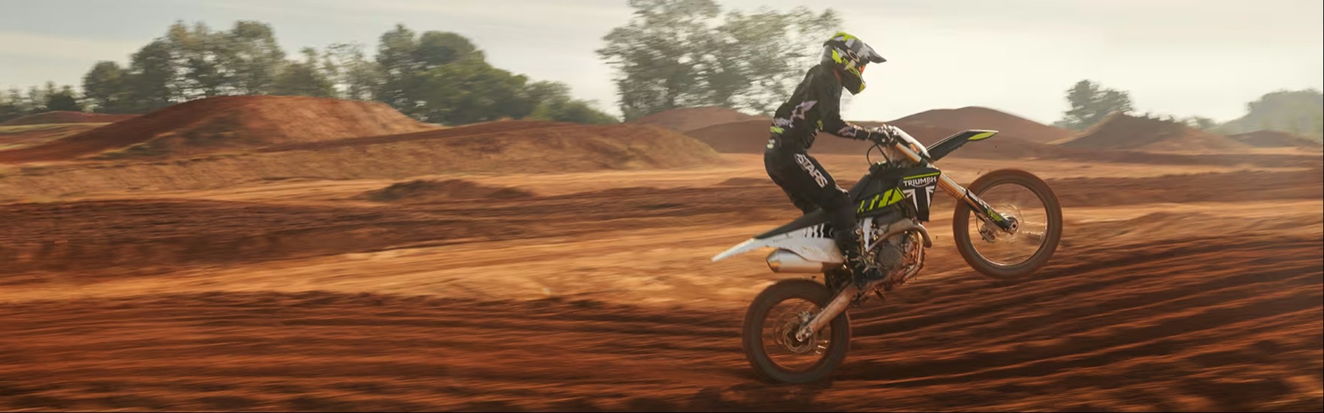 Triumph TF 250-X